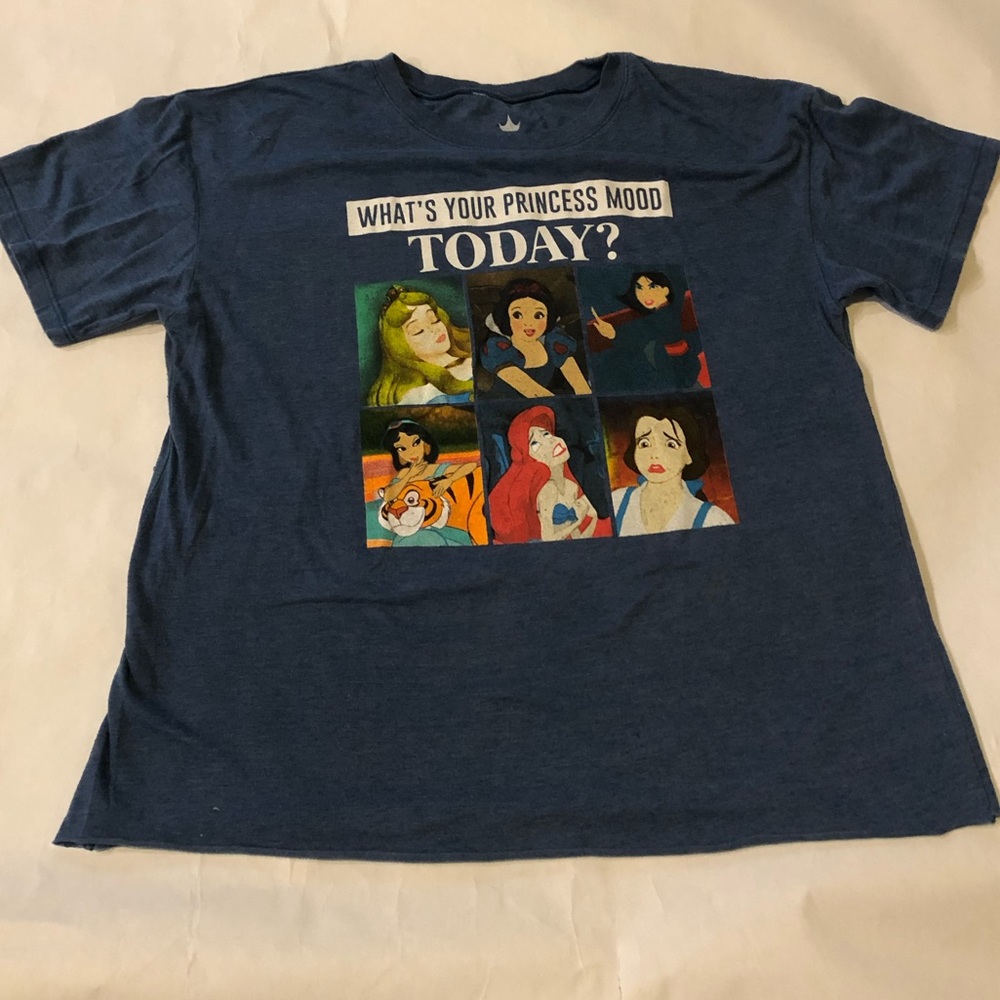 Disney Princesses “What’s Your Princess Mood Today” blue shirt sleeve t-shirt